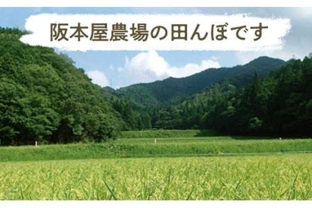 【令和7年産 新米！！2025年9月10日以降順次発送】丹波篠山産特Aランク越光（５kｇ×１袋） 白米 100％単一原料米 産地直送米 贈答 おいしいコシヒカリ お米 精米 コシヒカリ ブランドコシヒ