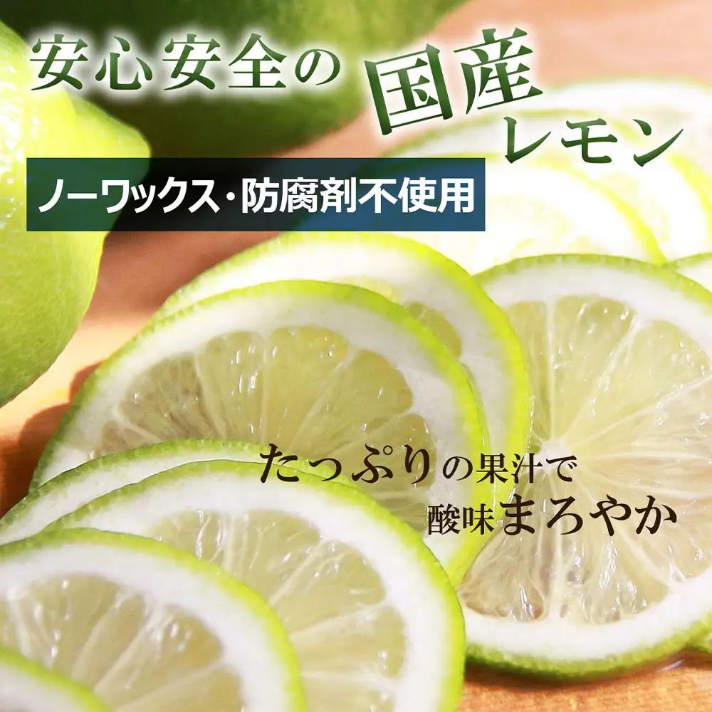 【先行予約】璃の香レモン 約3kg（8〜15個） 高知県土佐市 【株式会社SHIRAKI】 [BQAI025]
