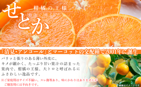 ＜愛媛県西予市産 せとか ご家庭用 約4kg＞ 訳あり 不揃い 傷 果物 フルーツ みかん ミカン 蜜柑 セトカ オレンジ 柑橘類 選べる 甘い 期間限定 食べて応援 特産品 宇都宮物産 【常温】『2