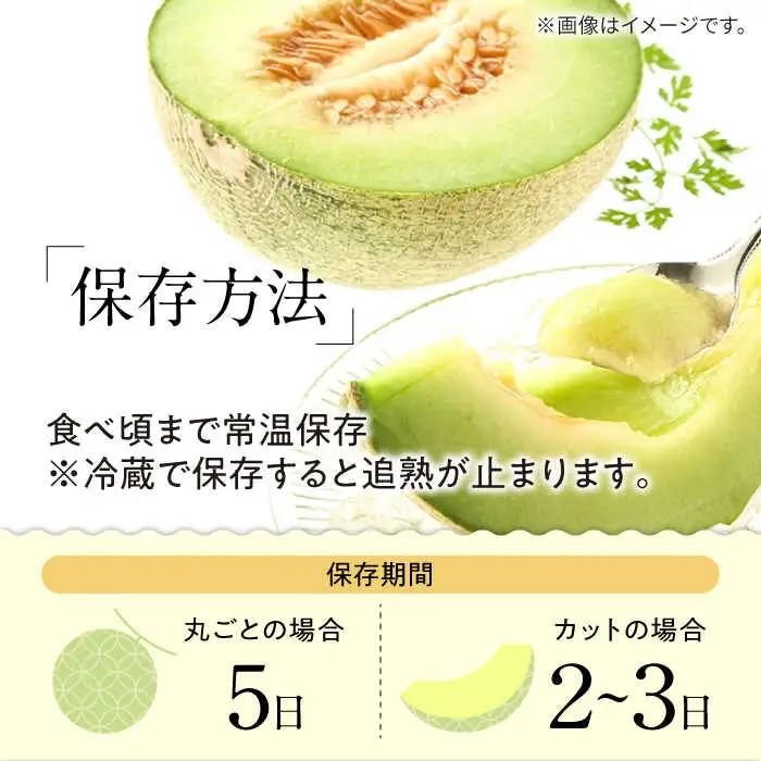 【2027年5月-発送】【さわやかな味!】訳あり タカミメロン 1玉 約1kg（傷もの）/ メロン めろん フルーツ 果物 / 南島原市 / 南島原果物屋[SCV028]