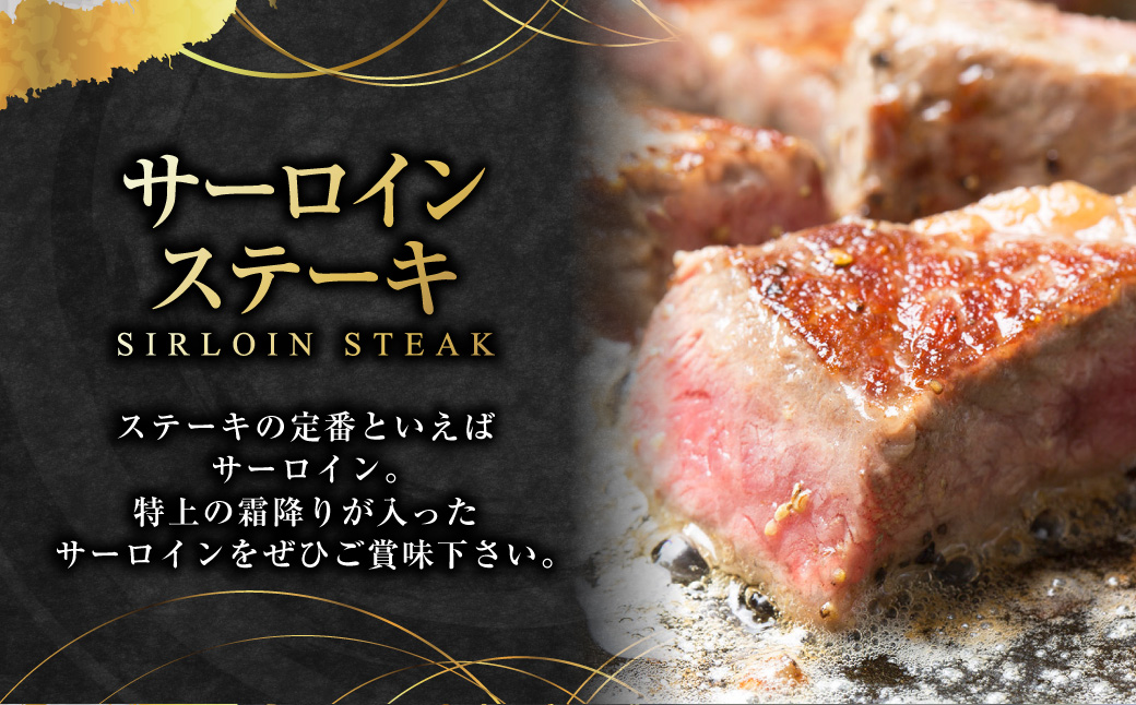 よくばりセットAタイプ【長崎和牛出島ばらいろ・長崎県産SPF五島美豚】 ／ 和牛 国産 お肉 肉 牛肉 SPF豚 五島美豚 豚肉 長崎県 長崎市