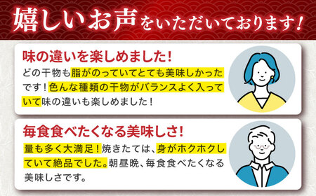 【全12回定期便】旬の干物 おまかせ詰め合わせ《松》（カマス・アカハタ・鯛など）[JDR017]