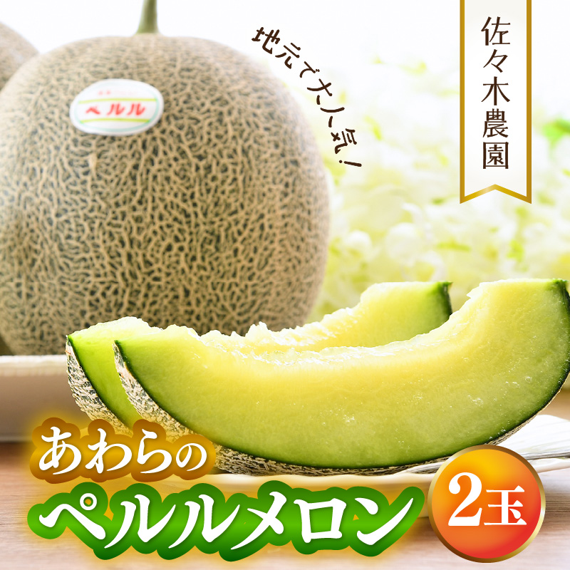 【先行予約】ペルルメロン 3L 2玉入（1.7kg以上×2玉）糖度16度以上！／ 1株1果 大玉 青肉 メロン 果物 フルーツ ギフト 農家直送 ※2026年6月下旬より順次発送 [aw045-a001]