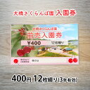 【ふるさと納税】大橋さくらんぼ園【入園券 400円 12枚綴り（3年有効）】　【芦別市】