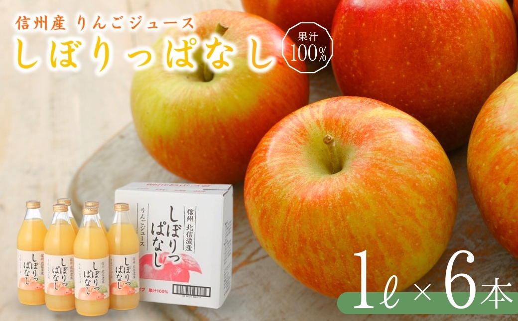 信州産 りんごジュース 「しぼりっぱなし」 果汁100％ (1L×6本)｜ストレートジュース 信州 長野県 千曲市