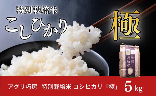 特別栽培米 コシヒカリ 「極」 5kg 令和7年産 一等米 こしひかり 新潟県認証 精米 白米【012S076】