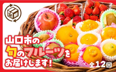 A037 ぶちうま！フルーツ定期便(12回コース)