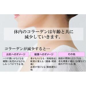 プラスコラーゲンピンク150ｇ・2袋セット｜野洲市 コラーゲン サプリメント 美容 健康 食品 美肌 エイジングケア 潤い 栄養補助食品 プラスコラーゲン ブルー お取り寄せ 通販 ふるさと納税｜