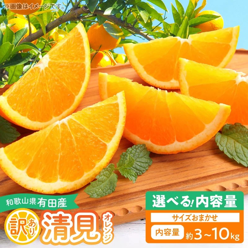 【ふるさと納税】【2027年先行予約】 訳あり 清見オレンジ 選べる 内容量 約3kg 約5kg 約10kg サイズおまかせ サイズ混合 果物 フルーツ おやつ デザート お取り寄せ 和歌山県有田産 和歌山県 湯浅町 送料無料