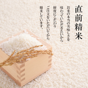 新潟県三条市産 コシヒカリ 三条米 10kg (5kg×2袋) ボウル・ザルセット 令和7年産 三条のお米 美味しいコシヒカリ 新潟のコシヒカリ 米 お米 精米 白米 米研ぎセット 新潟米 新潟コシヒ