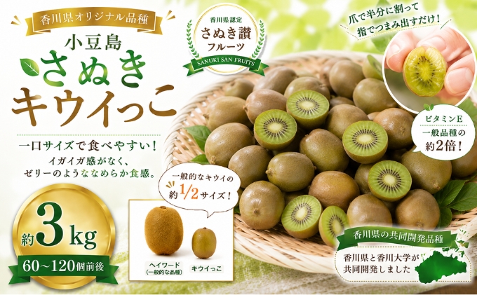 キウイ さぬきキウイっこ 小豆島 約3kg 60～120個前後 国産 一口サイズ ミニキウイ キウイフルーツ 糖度17～20度 高糖度 毛がない ゼリー ビタミンE さぬき讃フルーツ 香川県オリジナル 香川大学 果物 フルーツ くだもの デザート 朝食 香川県 土庄町