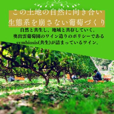 ふるさと納税 雲南市 シャルドネ ギフト包装 750ml×1本 辛口白ワイン |  | 02