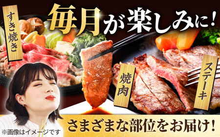 【牧場直送】【12回定期便】佐賀県産 しろいし牛 1頭まるごと 定期便【有限会社佐賀セントラル牧場】[IAH225]