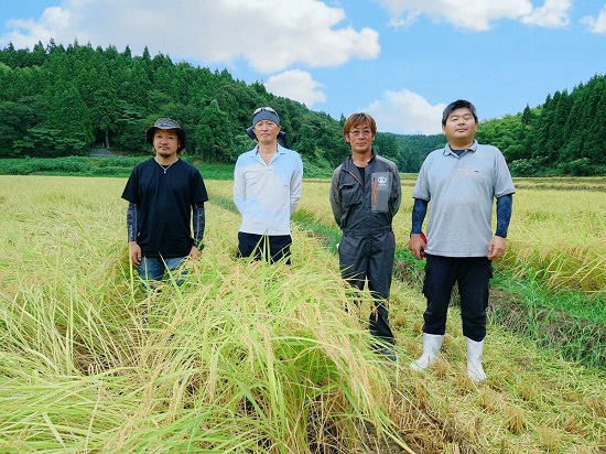 【先行予約】 新米 新潟県産 コシヒカリ 10㎏ (10月以降発送予定) 出雲崎町産 「天領の里」 令和6年産 白米 精米 お米 こしひかり