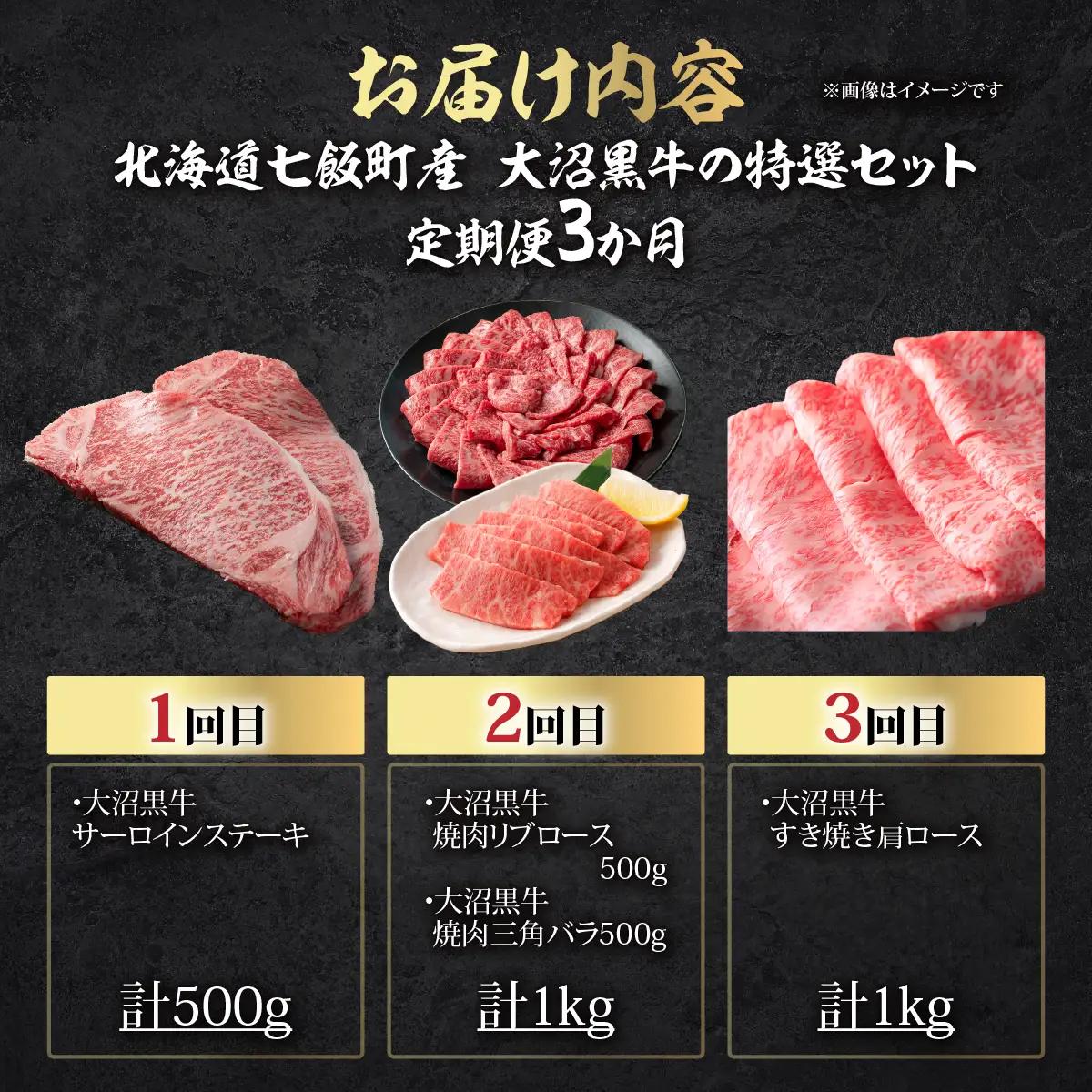 【北海道ブランド牛】大沼黒牛の特選セット 定期便3ヶ月 NAM059