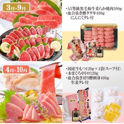 ふるさと納税 枕崎市 定期便(6回)枕崎お楽しみ便(黒毛和牛・まぐろ・かつおetc) GG-0046 |  | 02