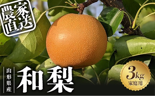 
                  【2027年先行予約】農家直送「和梨3kg」家庭用 FSY-2683
                