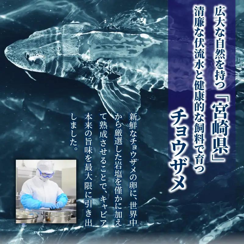 【訳あり】宮崎県産キャビア 詰め合わせ 合計100g キャビア 魚卵