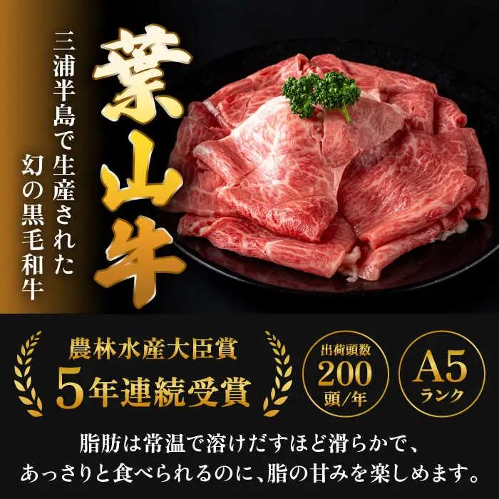【全6回定期便】 葉山牛 すき焼き用モモ500g／ すき焼き モモ[ASAP030]
