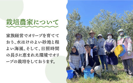 【2024年11月〜発送】【12回定期便】原城オリーブ エクストラヴァージン オイル 100ml 2本 / 調味料 油 オリーブオイル オリーブ / 南島原市 / ミナサポ[SCW051]