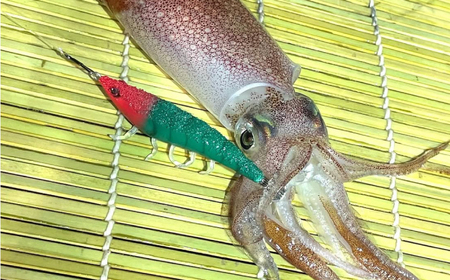 海老助58mm3点アソートセット 釣具 釣り用品 海釣り 岐阜市 / ジークラック[ANIG005]