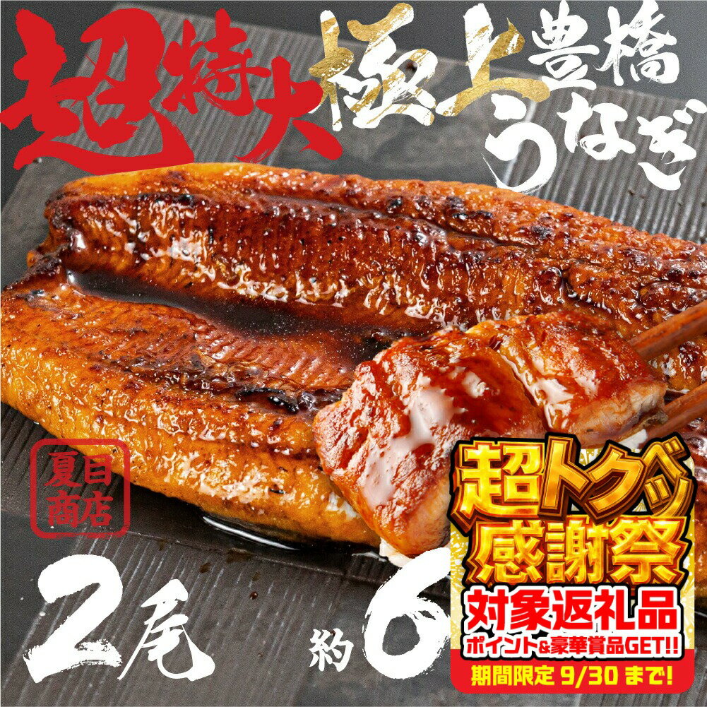 【ふるさと納税】希少 極上 豊橋うなぎ 特大 2尾 ~600g蒲焼 厳選 国産 鰻 簡易包装 訳あり ウナギ うなぎ 鰻 蒲焼 夏目商店 ギフト 配布 最高級 ひつまぶし 土用丑の日 ギフト 冷凍 増量 丑の日 簡単調理豊橋うなぎ unagi お取り寄せ 送料無料 愛知県 豊橋市