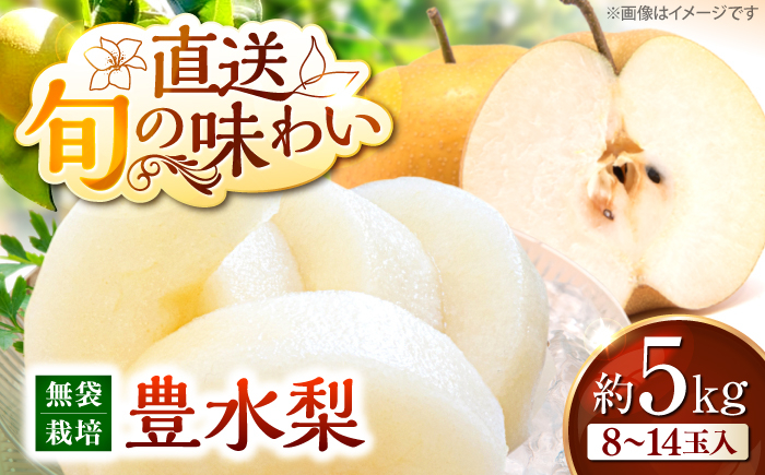 
                  【先行予約】梨 豊水 高丸の梨 5kg（8から14玉入）＜9月中旬から順次発送＞ 豊水 梨 なし フルーツ 果物 ナシ 甘い デザート ランキング おいしい 人気 おすすめ グルメ お取り寄せ ギフト 贈り物 プレゼント ご当地 特産品 お土産 記念日 誕生日 お祝い 内祝い お中元 ご褒美 おうち時間 産地直送 旬 秋 贈答用 家庭用 広島 三次市/高丸農園 [APBU002]
                