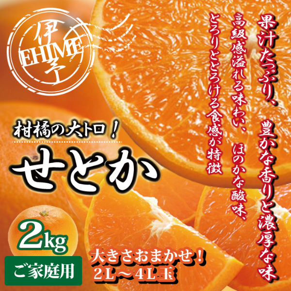 訳あり せとか 2kg ご家庭用 みかん 愛媛 人気 サイズミックス 柑橘 伊予市 【2026年2月下旬順次発送】 | B235