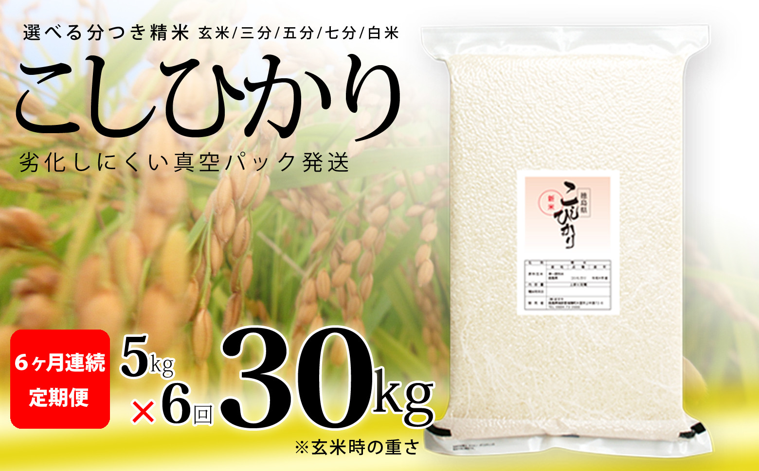 
こしひかり 玄米時重量 5kg×6回 6ヶ月連続 定期便 玄米時重量30kg 分づき米 対応可 真空パック コシヒカリ 米 簡易梱包 エコ梱包
