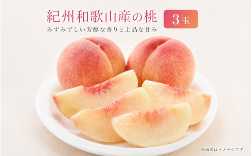 秀品　紀州和歌山産の桃　3玉　化粧箱入　※2027年6月下旬頃〜8月上旬頃順次発送（お届け日指定不可）【uot750】