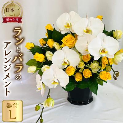 ふるさと納税 田原市 器に盛ったランとバラのアレンジ L　ギフト・プレゼントに最適 愛知県田原市