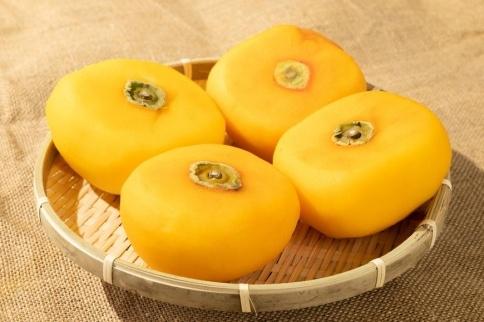 生渋柿たね無 あんぽ柿用T軸枝無約4.5～5kg　約24～30個＜2025年10月中旬～11月上旬ごろ順次発送＞【ART16】