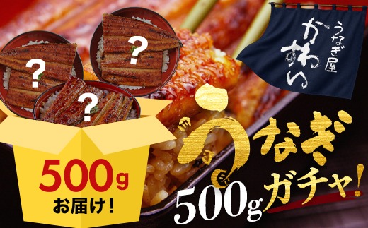 国産うなぎ蒲焼きガチャ福袋 500g入〈 うなぎ屋 かわすい 〉 (A1154-1) ｜ グルメ大賞連続受賞 特製タレ付 送料無料 高評価 人気 ギフト 贈り物 お歳暮 御歳暮 丑の日 お中元 特産品 和歌山県 有田市