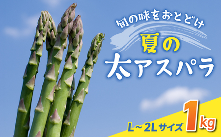 先行予約2025年発送【のららぼ農園】農家直送！新鮮！夏獲れ太（L〜2L）アスパラ1kg（およそ25〜35本）※2025年7月上旬〜9月上旬発送予定