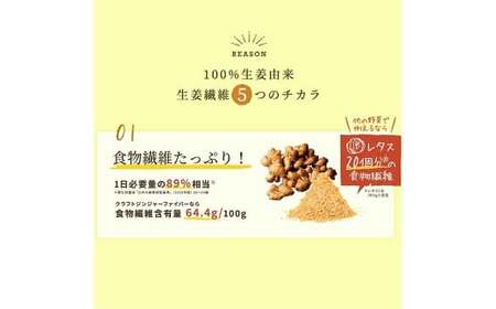Craft Ginger Fiber （クラフト ジンジャー ファイバー） 25g×2袋 計50g ／ 生姜 しょうが 野菜 ジンジャー 薬味 高知県 香美市 常温
