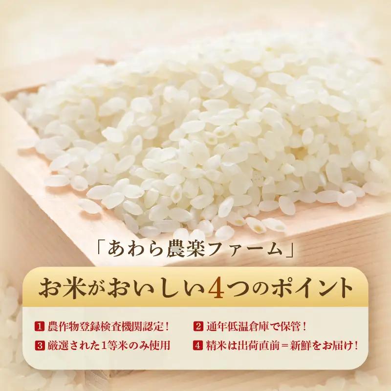 【先行予約】【令和8年産・新米】【一等米】 ＜定期便12回＞ ハナエチゼン 精米 10kg × 12回（120kg）《発送直前精米！》 ／ 福井県産 ブランド米 ご飯 白米 お米 コメ 新鮮 大賞 受