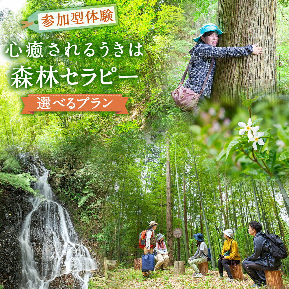 【ふるさと納税】〈選べるコース〉【参加型体験】リフレッシュ&デトックス 心癒されるうきはの森林セラピー・うきは市森林セラピー (森のティータイム付) 2名様／うきは市森林セラピー (アロマスプレーづくり付) 2名様 送料無料 福岡県 うきは市