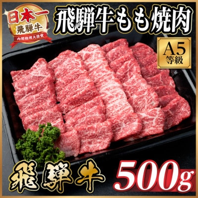 飛騨牛A5等級　もも焼肉　500g(焼肉・BBQ用)【配送不可地域：離島】【1754439】