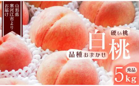 山形の硬い桃 秀品 5kg（13 - 20玉） 品種おまかせ 秀品 山形県産 2025年産 令和7年産【2025年8月中旬頃から9月下旬頃発送予定】※ 配送不可 沖縄・離島　022-B-MM016
