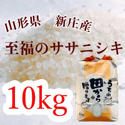 ふるさと納税 新庄市 至福のササニシキ(精米)10kg