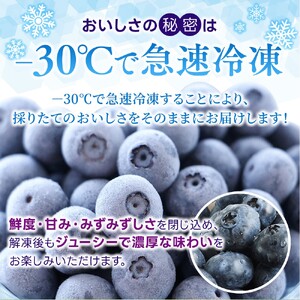 冷凍 ブルーベリー 3kg  金山パイロットファーム ベリー【knpr0011A】