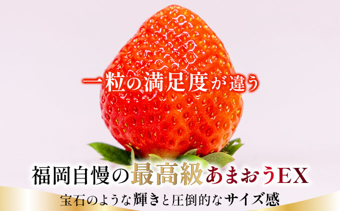 【先行予約】博多あまおうEX 2パック（約450g×2パック）【AG014】