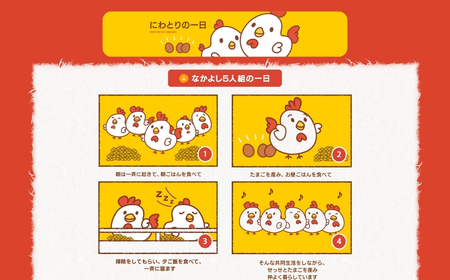 【定期便】希少2種 たまごセット 50個 3回定期便 割れ保証付き
