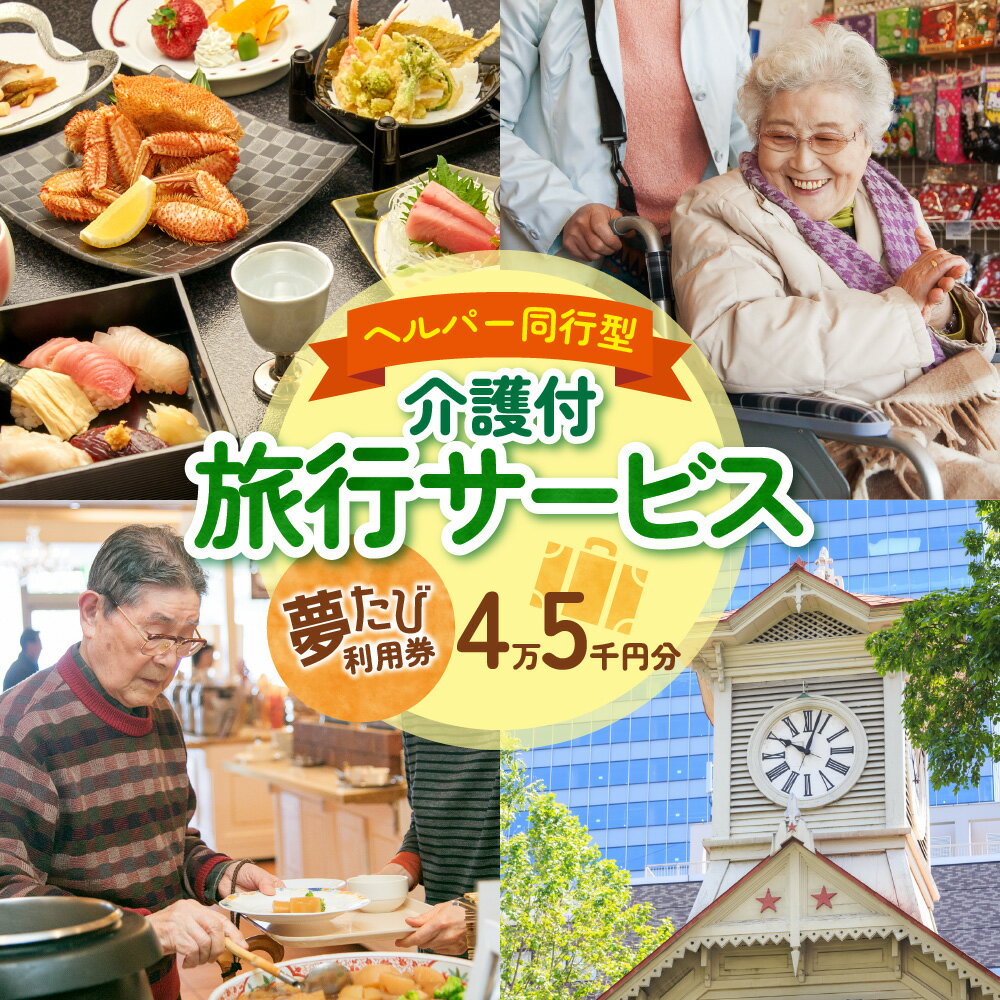 【ふるさと納税】 ヘルパー同行 介護付き 旅行 サービス 利用券 45,000円分 夢たび 観光 宿泊 チケット クーポン 旅行券 宿泊券 北海道 札幌市