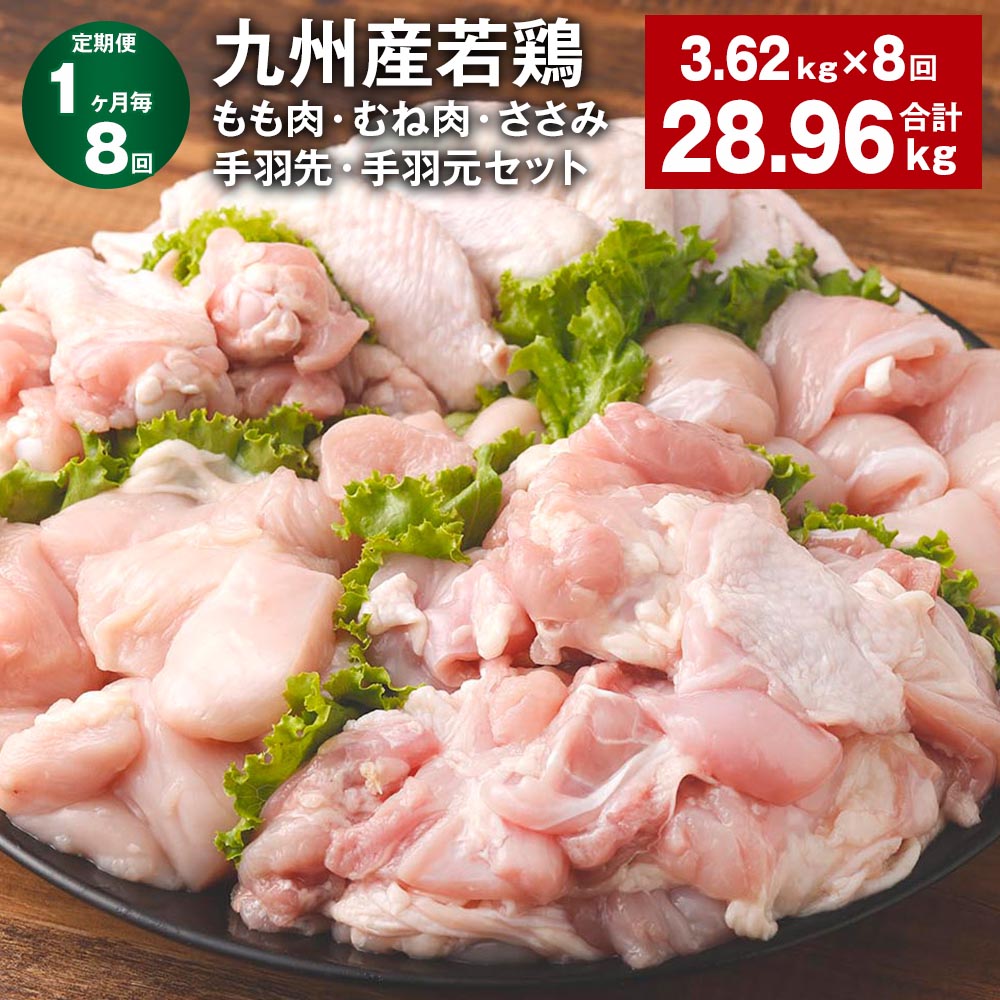 【ふるさと納税】【定期便】【1ヶ月毎8回】九州産若鶏もも肉・むね肉・ささみ・手羽先・手羽元セット 計28.96kg（3.62kg×8回） 鶏肉 お肉 モモ肉 ムネ肉 5種類 詰め合わせ 小分け 冷凍 九州産 国産 熊本県 菊池市 送料無料《お申し込みの翌月から出荷》