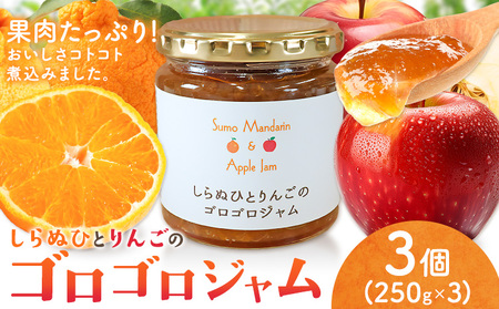 しらぬひとりんごのゴロゴロジャム 3個 (1個250g) ジャム