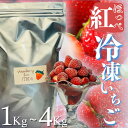 【ふるさと納税】 冷凍イチゴ 1kg 2kg 3kg 4kg 苺 いちご イチゴ 国産 完熟 甘い スムージー ジャム ヨーグルト 一口サイズ 紅ほっぺ 苺 果物 フルーツ 静岡 南伊豆 冷凍 いちご 地元JA品評会金賞受賞