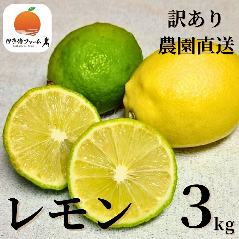 【ふるさと納税】レモン 3kg ご家庭用 バラ詰め ユーレカ 愛媛 【2026年10月から順次発送予定】 数量限定 檸檬 柑橘 フルーツ ビタミン 国産 伊予市｜B459
