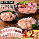 【ふるさと納税】 鹿児島県産 若鶏焼肉セット (合計4.2kg) 国産 冷凍 真空パック 小分け 焼き肉 鶏肉 鳥肉 もも肉 モモ肉 肝 砂肝 小肉 チキンリブ 肩肉 カタ肉 かた肉 切身 切り身 カット済 詰合せ 詰め合わせ 【TRINITY】