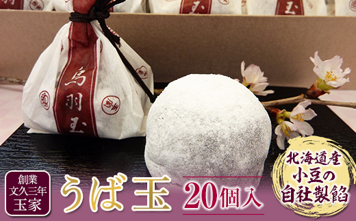 創業文久三年 玉家 うば玉20個入  お茶菓子 お茶請け 和菓子 菓子 食品 F21R-010